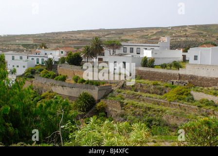 Teneriffa, Kanarische Inseln, Spanien Stockfoto