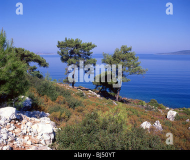 Küsten-Ansicht, der Bodrum-Halbinsel, Provinz Mugla, Türkei Stockfoto