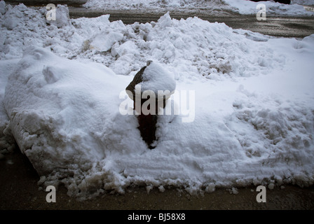 Ein Hydranten mit Schnee bedeckt ist auf Freitag, 26. Februar 2010 in New York gesehen. (© Richard B. Levine) Stockfoto