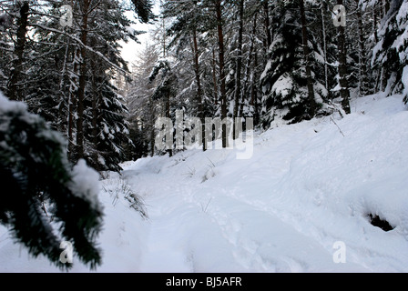 Eine schneebedeckte abgelegenen Feldweg in Glenbuchat in der Nähe von Strathdon, Aberdeenshire, Schottland im Cairngorms National Park Stockfoto