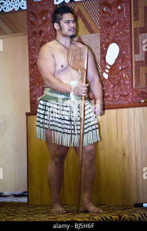 Eine Maori Performance unterhält die Gäste im Treetops Lodge in der Nähe von Rotorua Neuseeland Stockfoto