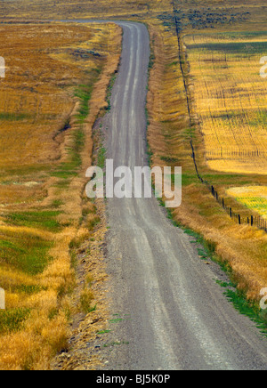 Schotterstraße, die Krümmung durch goldene Weizenfelder, gesäumt von einem Stacheldrahtzaun, Schilde Valley, Montana, USA Stockfoto