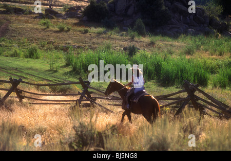 Frau Wrangler arbeiten auf einer Dude Ranch in Wyoming, USA Stockfoto