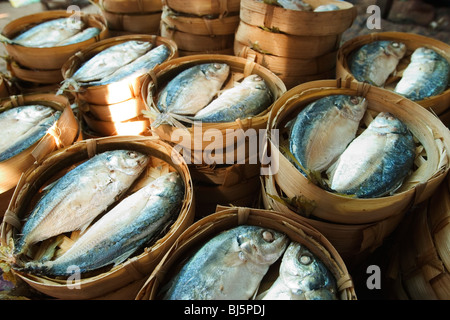 Kleine Fische sind in Rattan Körbe auf einem Markt in Vientiane, Demokratische Volksrepublik Laos verkauft. Stockfoto