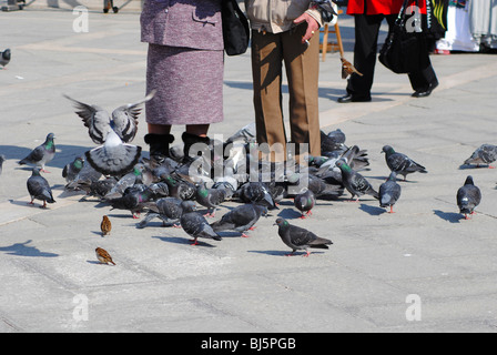 Touristen und Tauben in Markusplatz, Venedig Italien Stockfoto