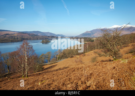 Ein Winter-Blick über Derwentwater aus den Hängen unterhalb Walla Crag, Nationalpark Lake District, Cumbria Stockfoto