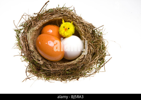 Nest, drehte ihn von Grass mit Eiern und Hühnerfleisch Stockfoto