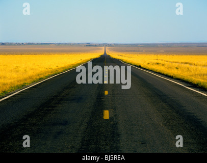 Autobahn 28, eine zwei-spurige Autobahn, die zurückgeht bis zum fernen Horizont, in der Nähe von Rexburg, Idaho, USA Stockfoto