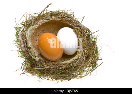 Nest, drehte ihn von Grass mit Eiern Stockfoto