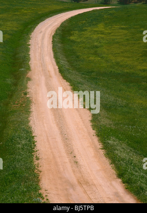 Roter Feldweg biegen durch die Wiesen grünen Prärie von South Dakota, USA Stockfoto