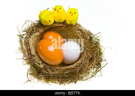 Nest, drehte ihn von Grass mit Eiern und Hühnerfleisch Stockfoto
