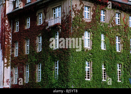 Efeu wächst an der Fassade eines Gebäudes, Deutschland Stockfoto