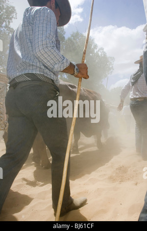 Pilger der Bruderschaft von Villamanrique De La Condesa, Spanien Stockfoto