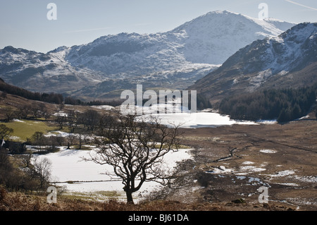 Blea Tarn, Fuß Ansichten über Rundschreiben vom Elterwater, in der Nähe von Ambleside, Lingmoor Fell und zurück. Stockfoto