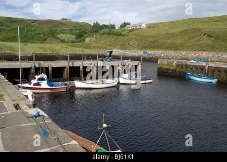 Lybster Hafen, in der Nähe von Wick im Nordosten von Schottland. Stockfoto