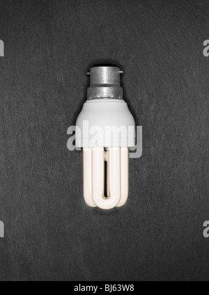 Warme energy saver Glühbirne auf grauem Schiefer Hintergrund Stockfoto