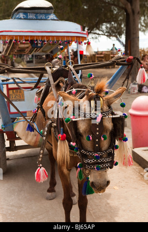 Indonesien, Lombok, Gili Trawangan, Cidomo Pferd angetrieben Taxi an der Beachroad Stockfoto