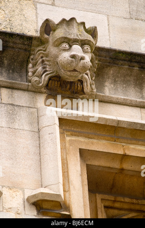 Eine geschnitzte löwenartige Wasserspeier an einer Oxford College UK mit einem Detail-Fenster Stockfoto