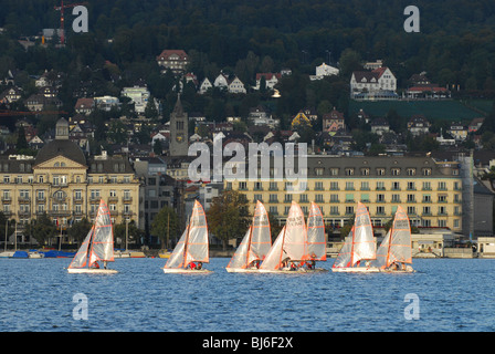 Regatta auf dem Zürichsee, Schweiz Stockfoto