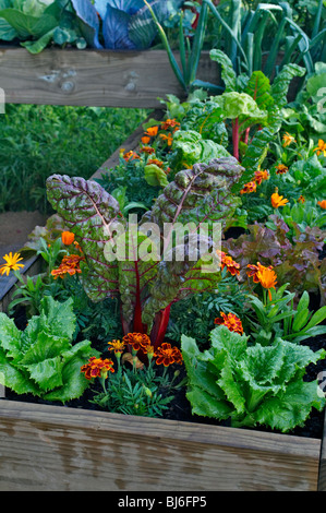 Eine erhöhte Bett Opf Gemüse und Blumen in einem städtischen Garten Stockfoto