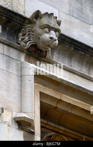 Eine geschnitzte löwenartige Wasserspeier an einer Oxford College UK mit einem Detail-Fenster Stockfoto