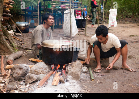 Indonesien, Sulawesi, Betrieb Wallacea, Lambusango Waldreservat La Pago Personal kochendes Wasser Stockfoto