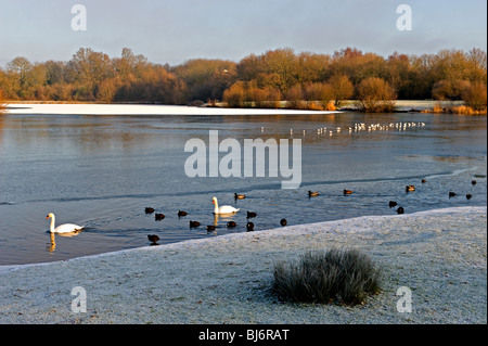 Barden See, Tonbridge, Kent, England in der Wintersonne Stockfoto