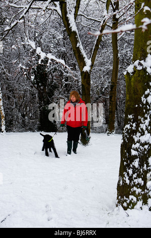 Eine Frau nimmt ihren schwarzen Labradoodle Hund für einen Spaziergang im Schnee durch einen Wald von Bäumen Stockfoto