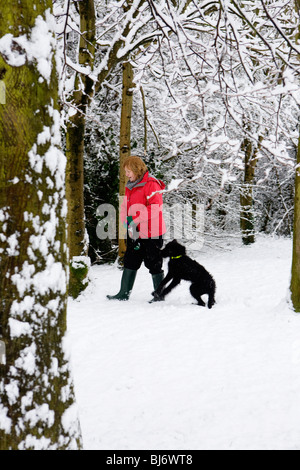 Eine Frau nimmt ihren schwarzen Labradoodle Hund für einen Spaziergang im Schnee durch einen Wald von Bäumen Stockfoto