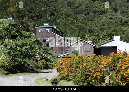 Finca Lerida Kaffeehaus und Boutique-Hotel / Lodge, die bei Vogelbeobachtern beliebt ist), in der Nähe von Boquete, Chiriqui, Panama Stockfoto