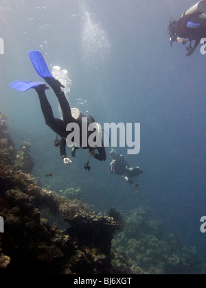 Indonesien, Sulawesi, Wakatobi Nationalpark, Unterwasser, Taucher schwimmen über dem Korallenriff Stockfoto