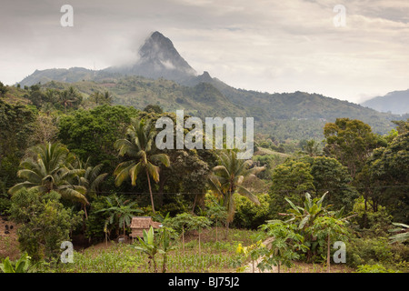 Indonesien, Sulawesi, Tana Toraja, Enrekang, bergige Landschaft oben genannten Felder bebaut Stockfoto