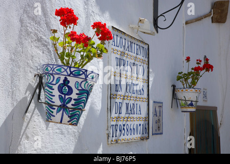 Guadix, Andalusien, Spanien. Topfpflanze und Zeichen Werbung Höhle Unterkunft im Stadtteil berühmten Höhlenwohnungen. Stockfoto