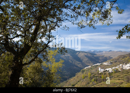 Bubión, Andalusien, Spanien. Die weißen Bergdörfer Bubión und Capileira im Herzen der Alpujarras. Stockfoto
