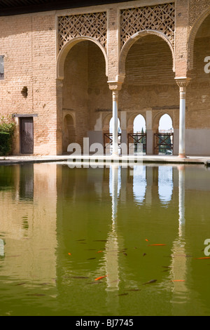 Granada, Andalusien, Spanien. Portikus des Torre de Las Damas spiegelt sich im Pool, Jardines del Partal, der Alhambra. Stockfoto