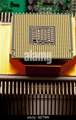 Mikroprozessor des Computers auf Kühlkörper / Kühler Stockfoto