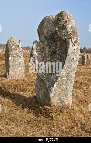 Alignements du Menec, Standing Stones in Carnac in Morbihan (Bretagne, Frankreich) Stockfoto