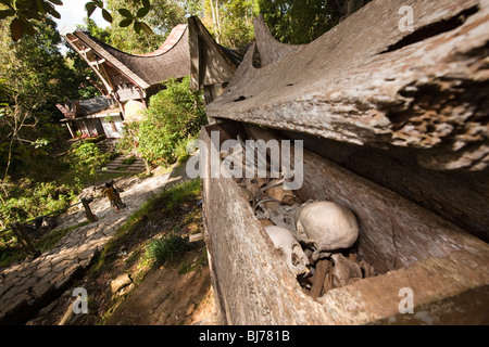 Tana Toraja, Indonesien, Sulawesi, Kete Kesu Dorf Gräberfeld, Stockfoto