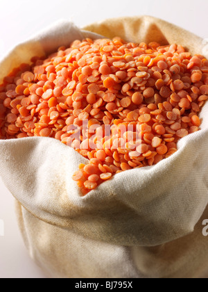 Ganze getrocknete Orangenlinsenbohnen - Nahaufnahme in einer leinentasche vor weißem Hintergrund Stockfoto