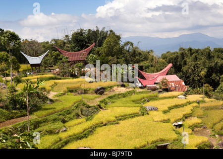 Indonesien, Sulawesi, Tana Toraja, Lokkomata, traditionelle Tongkonan Häuser über terrassierte Reisfelder Stockfoto