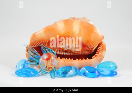 Shell und Fisch Zusammensetzung, Stillleben Meer, Top Tischgesteck, künstlerischen Dreh Stockfoto