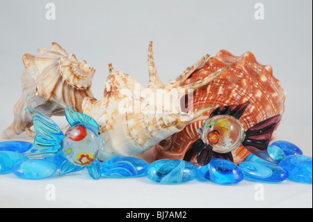 Ozean Leben Tisch Top Zusammensetzung, Stillleben, Muschel, Muscheln, Fisch, zwei Fische, Stockfoto