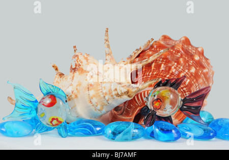 Schale, Blaue Grotte, Meeresbewohner, Stillleben, Tischplatte Zusammensetzung, Fisch zu sehen Stockfoto