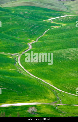 Grünen Hügel im Norden Kaliforniens im Frühjahr, wie aus der Luft gesehen. Stockfoto