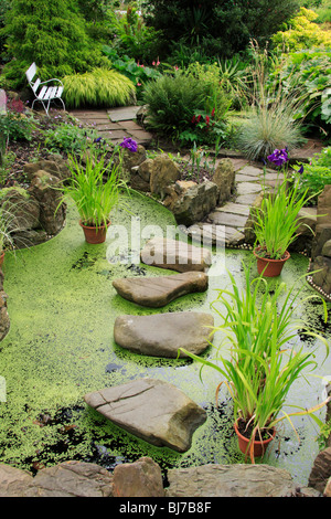 Garten Teich mit trittsteine im Garten des berühmten schottischen Künstler Edward Atkinson Hornel am Broughton House, Kirkcudbright Stockfoto