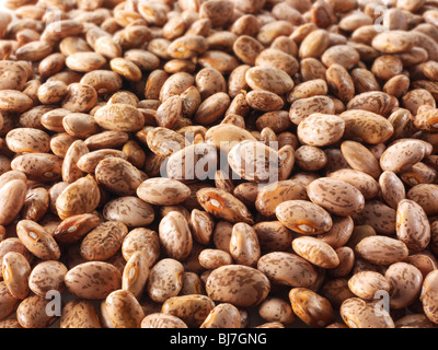 Ganze getrocknete rote Meeräsche, Barbunyabohnen, Borlotti-Bohnen, Cranberry-Bohnen, römische Bohnen, romano-Bohnen - Nahaufnahme im Vollformat Stockfoto