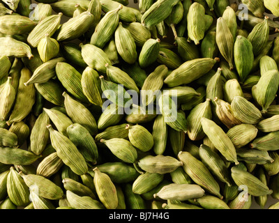 Ganze grüne Elaichi Cardomoms pods, Nahaufnahme, full frame Stockfoto