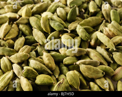 Ganze grüne Elaichi Cardomoms pods, Nahaufnahme, full frame Stockfoto