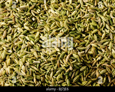 Ganze Fenchelsamen, Nahaufnahme, full frame Stockfoto