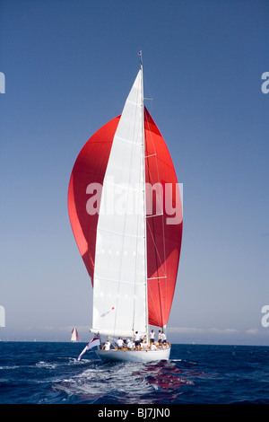 Savanne während der The Super Yacht Cup, Palma De Mallorca, Spanien Stockfoto